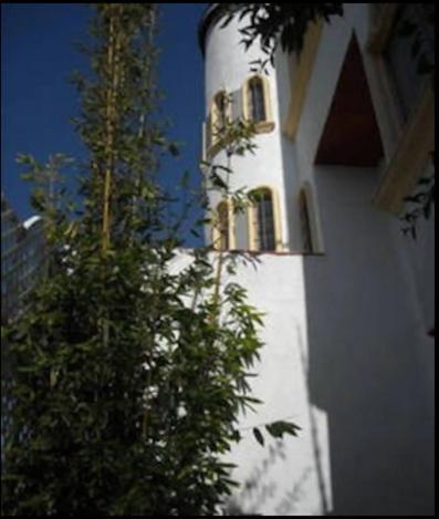 Welcome To Casa Viva Mexico 3-Bedrooms 2-Bathroms 6-Guests Close To Shoping Center & Beach ติฮัวนา ภายนอก รูปภาพ